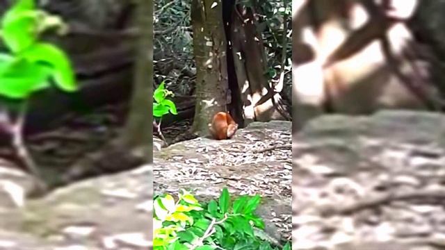 Прогулка по берегу океана и по городу Канкун, Мексика смотреть онлайн