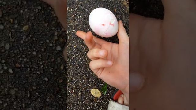 Egg drop challenge Easter edition смотреть онлайн