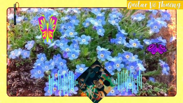 Hòa tấu TANGO VOL 16 GUITAR VÔ THƯỜNG смотреть онлайн