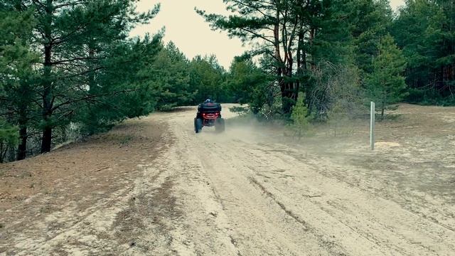 Денис и Диана ЗАСТРЯЛИ НА БАГГИ в ПЕСКЕ смотреть онлайн