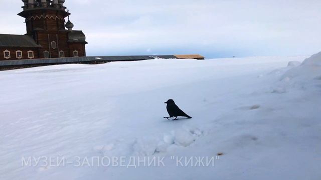 Зимняя рыбалка в Кондопоге | КИЖИ