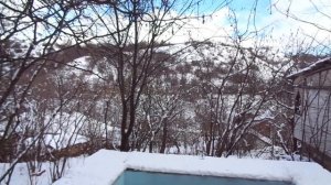 Фундук отводками размножать низзя. В Еврсоюзе,а у нас можно!