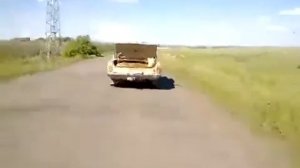 Как перевезти корову на машине