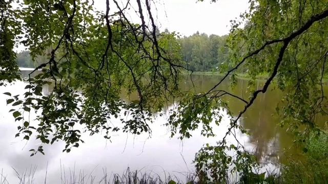 КАРЕЛИЯ / РЫБАЛКА / ВНУКИ / ПИТОМЦЫ смотреть онлайн