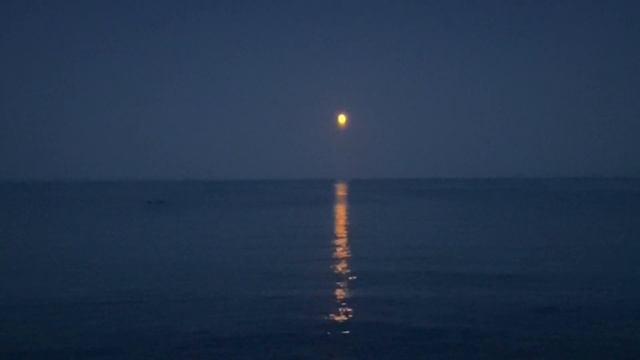 Strawberry Moon over the sea смотреть онлайн