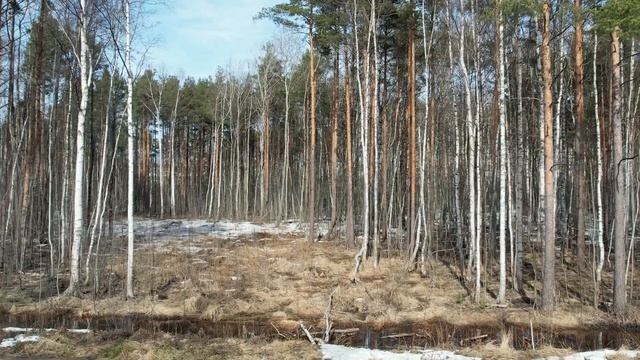 Панорама | пейзажная фотография | влог с Фовеонычем и DJI Air 2s смотреть онлайн