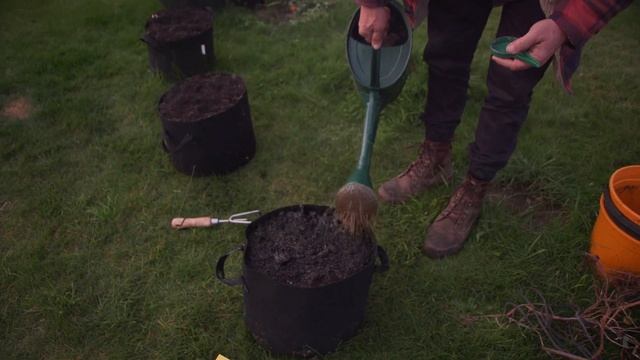 Sowing Seeds In Grow Pots смотреть онлайн