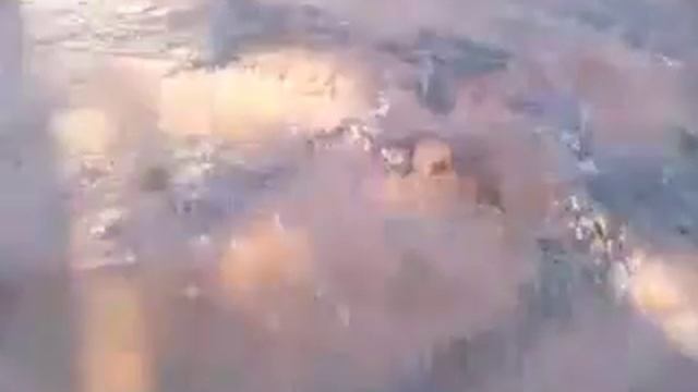 Fedtv 2008 June 19 ice ice baby we are star people смотреть онлайн