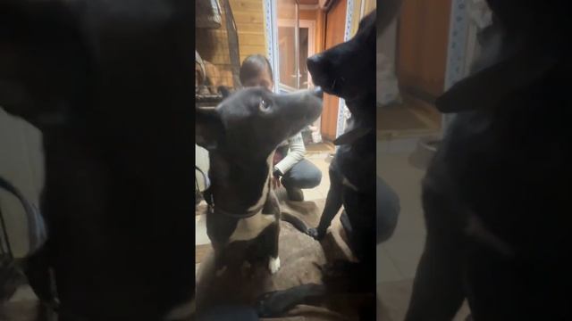 Жалко всем, но никому не нужна ? смотреть онлайн