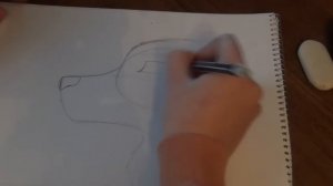 Как рисовать голову Фурри ?