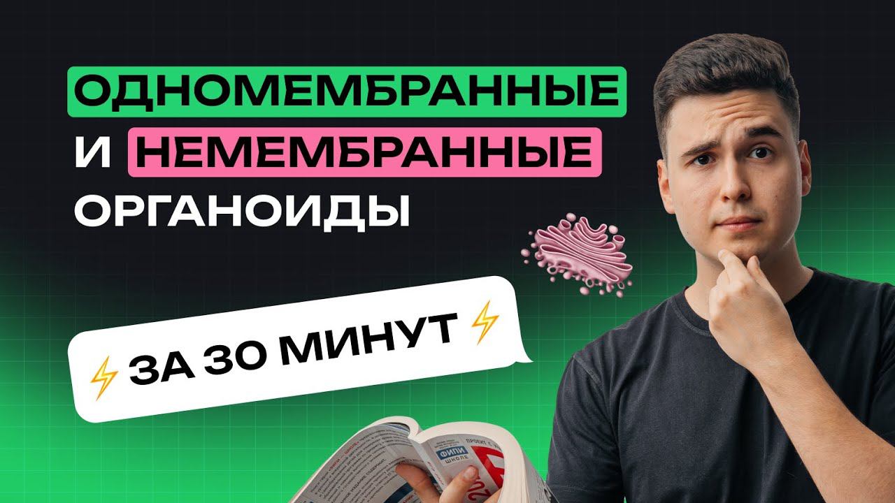 Одномембранные и немембранные органоиды (короткометражка). Тест-Драйв, занятие №2 смотреть онлайн