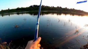 Тест места на сома!Рыбалка#густера  ночью!