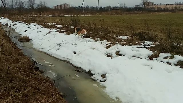 Груша 7 смотреть онлайн