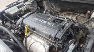 Шевроле Круз 1,8 Z18XER шестерня впускного распредвала на холодную