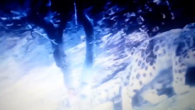 Новинка смотреть онлайн