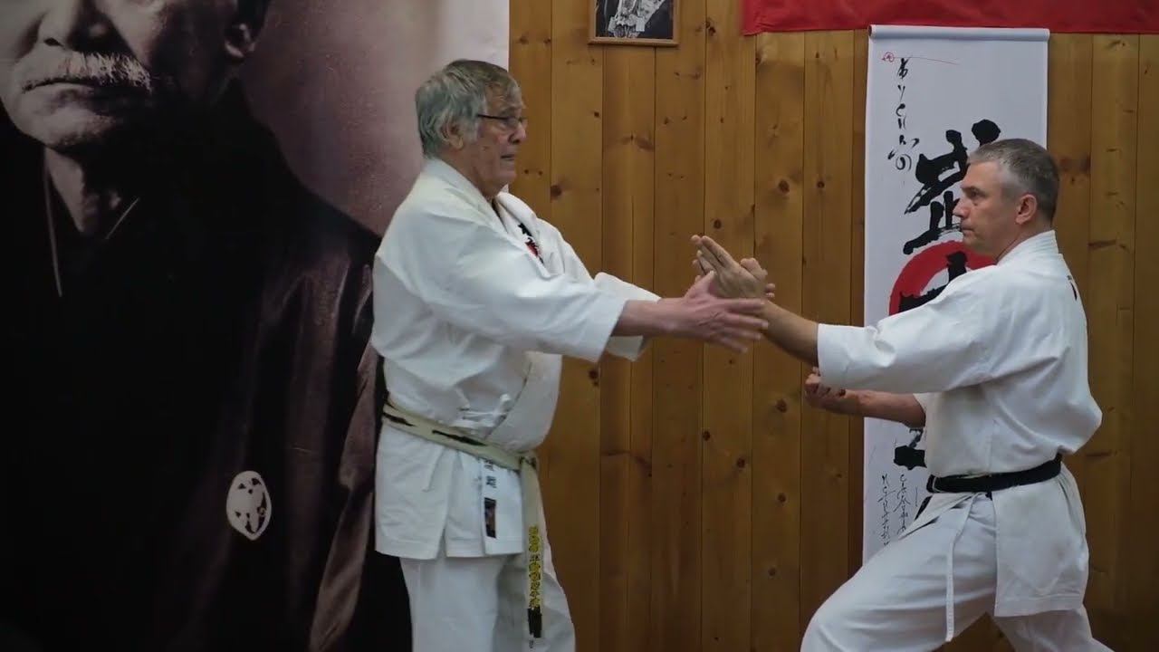 Основатель Фудокан Илия Йорга на 44-ой сессии НАБ.