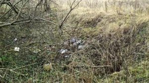 МЕТАЛЛОКОП ПОД ЗВОН КОЛОКОЛОВ БЛИЗЬ ДЕРЕВНИ