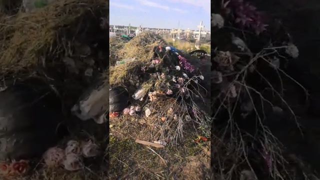 Слово главы администрации города Новочеркасска ничего не значит!!! смотреть онлайн
