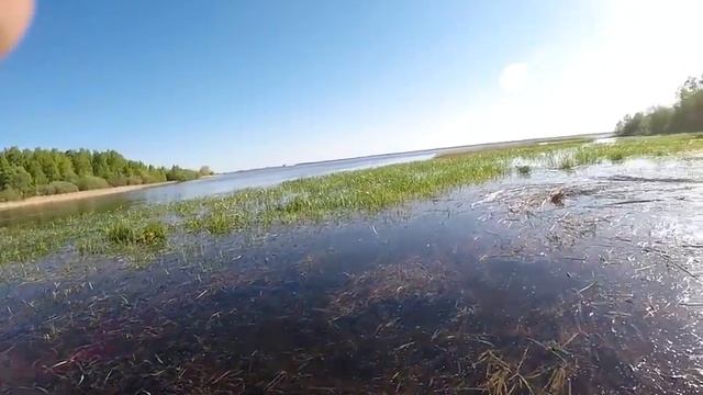 Жесткий тест мотора болотохода Бурлак смотреть онлайн