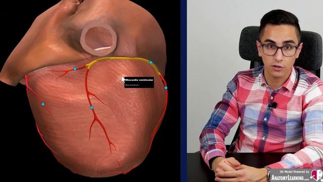 Arterias Coronarias Explicacion FACIL y RAPIDA ?anatomia del corazon #001 смотреть онлайн
