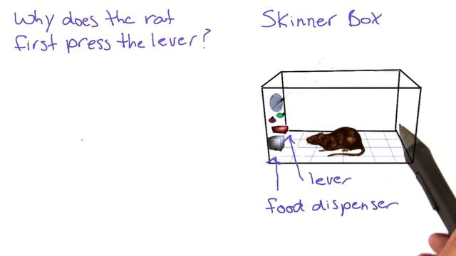 Skinner box - Intro to Psychology смотреть онлайн