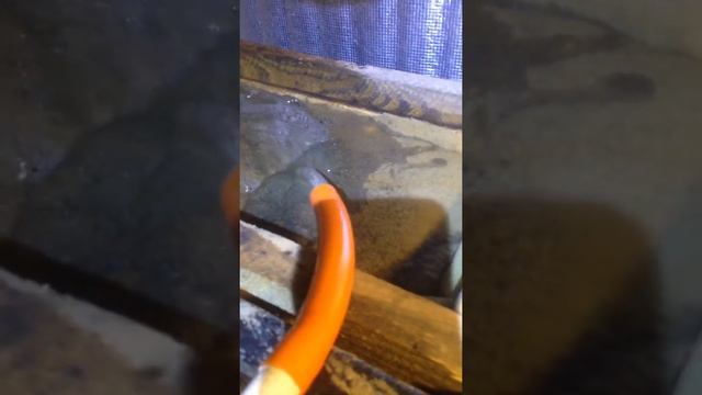 Хранение живца карась зимой смотреть онлайн