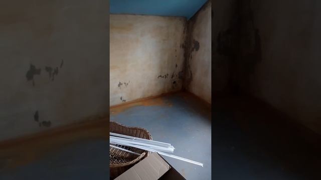 Как избавиться от грибка в частном доме. смотреть онлайн