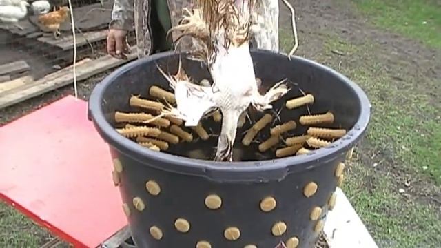 крольчиха делает гнездо ,а мы перощепальню смотреть онлайн