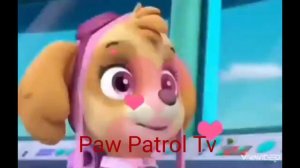 Щенячий патруль - скай и гончик(песня 5 минут)