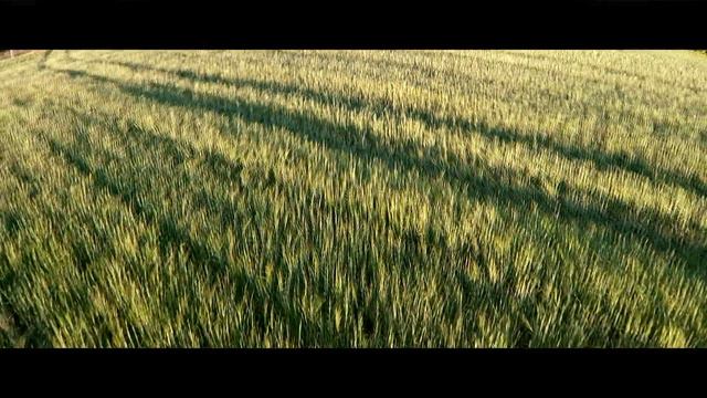 Aerial video shooting mihovfilm.com смотреть онлайн