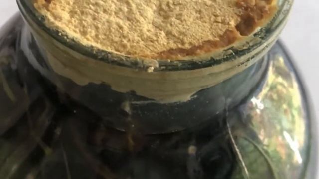 виноград маринованный без сахара,без уксуса не варить,не стерилизовать ,отличный рецепт смотреть онлайн
