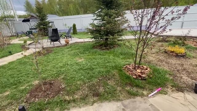 Ещё один активный день на даче.Вяжу березовые веники?Нарисовала красивую картину.Гормоны СЧАСТЬЯ смотреть онлайн
