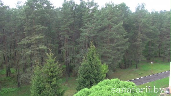 sanatorii.by санаторий Ислочь, Беларусь - территория 