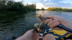 Jackall Micro Tappy! Смотрим, что за монстр