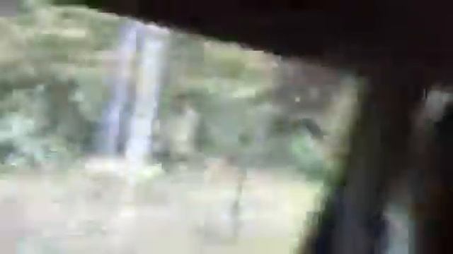 Луковицы дорога смотреть онлайн