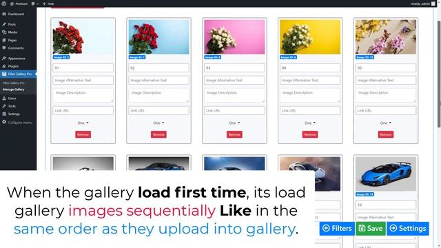 How does Load More Gallery work in Filter Gallery Pro? смотреть онлайн
