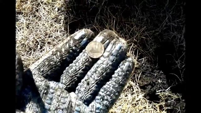 Коп 2017 смотреть онлайн