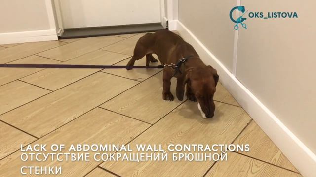 Regurgitation/Регургитация смотреть онлайн