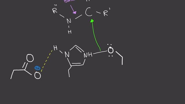 Biochemistry: Chymotrypsin Mechanism (Part 1) (Chymotrypsin Enzyme Mechanism) [STEP BY STEP!] смотреть онлайн
