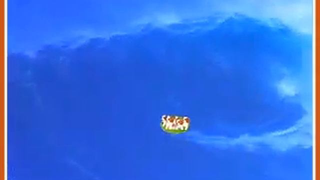 Cavalier King Charles Spaniel Song - Listen To Music Free