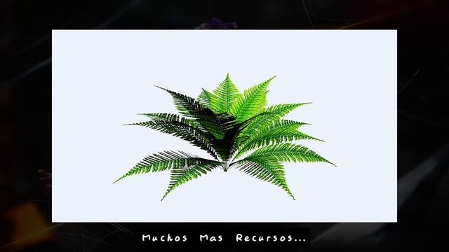 RANDOM PACK || FREE PHOTOSHOP GRAPHICS PACK || Photoshop 2022 || Kikato_Artz || смотреть онлайн