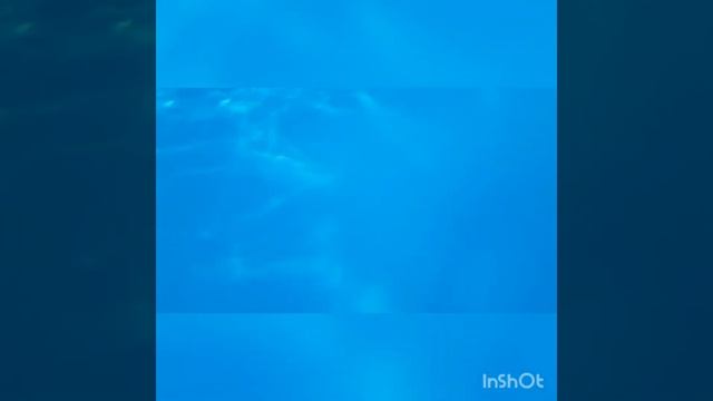 гуамка добрыня смотреть онлайн