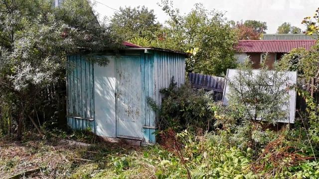 Дачный Дом в Дроздова за 700 тысяч смотреть онлайн