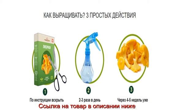 Выращивание Грибов Дома Отзывы, Цена, Купить, Грибы Дома, Украина, Россия, Казахстан смотреть онлайн