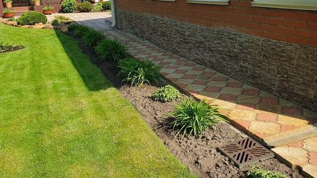 НОВОСИБИРСК. 
???Наш сад.Начало лета.2021.