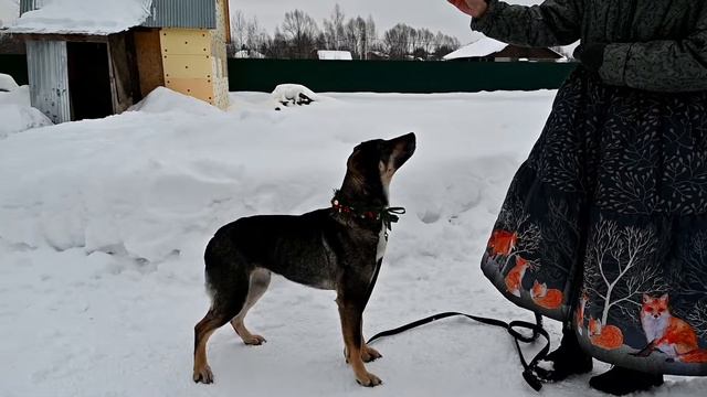 Эрика февраль 2022 смотреть онлайн