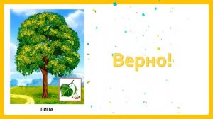 Дидактическая игра для дошкольников "Узнай дерево по листочку"