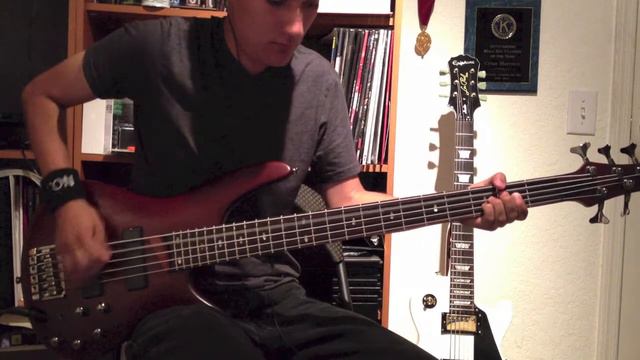 Sleeping With Sirens | Low [Bass Cover] смотреть онлайн