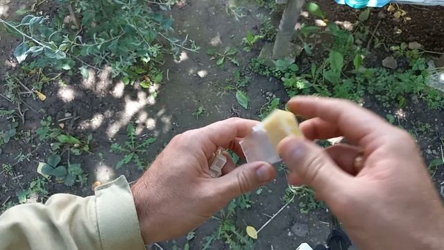 Хватит убивать маток! Подсаживай правильно! Стаж - не опыт. смотреть онлайн
