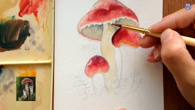 Red Roundhead Mushrooms Drawing to Painting with Watercolors смотреть онлайн